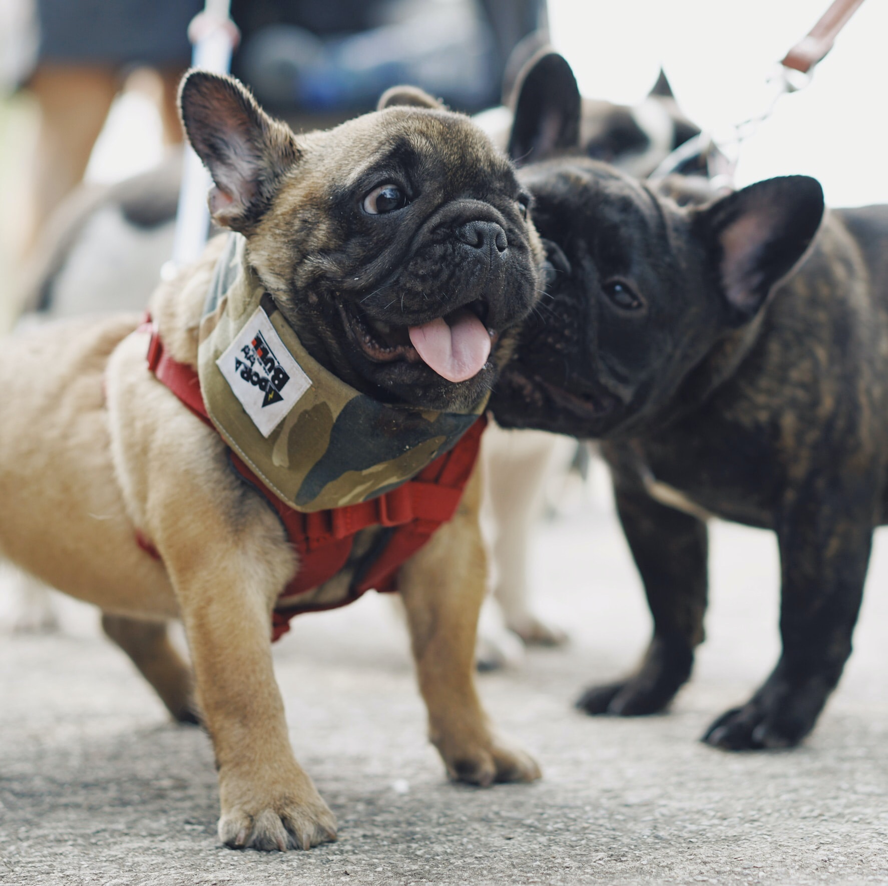 the qualities of a good induction buddy for a new employee